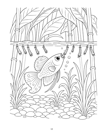 Guppy coloring page: George the guppy snapping up mosquito larvae under the water surface, with reeds and pebbles