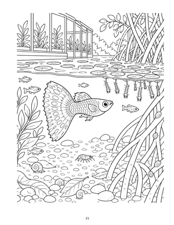 Pond coloring page: George the guppy swimming under lily pads beside mangrove roots, with small fish, a shrimp and snails