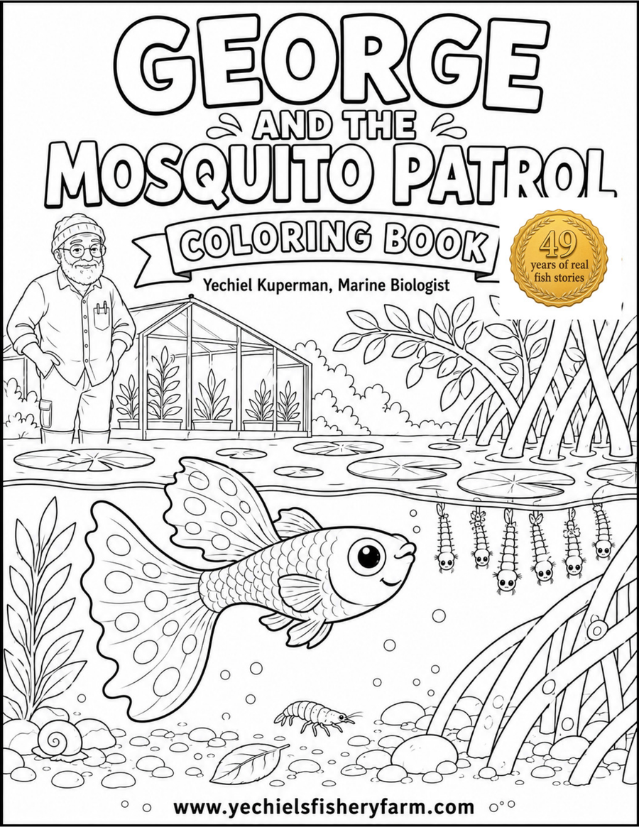 Cover of Book 2 Coloring Book