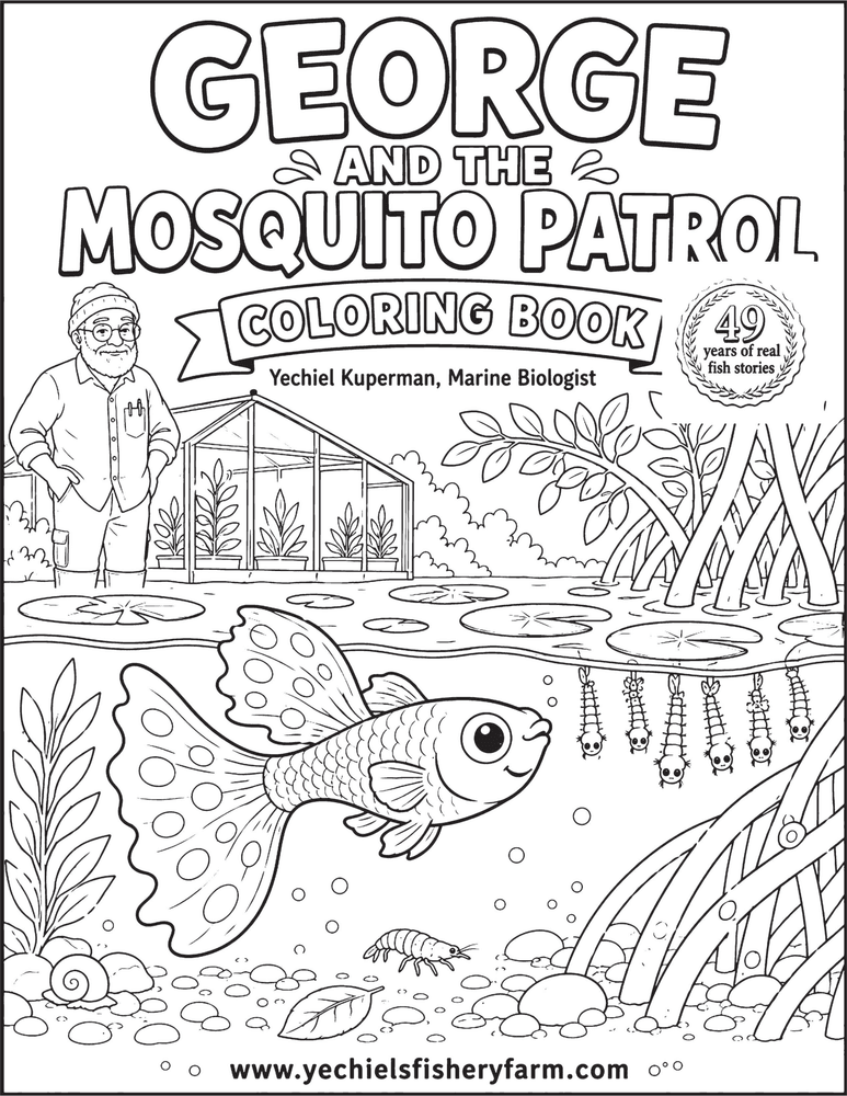 Cover of Book 2 Coloring Book